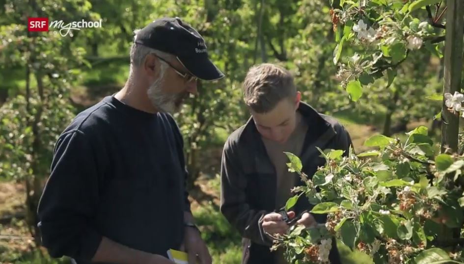 Obstfachmann/-fachfrau EFZ – Film mit Porträt eines Lernenden