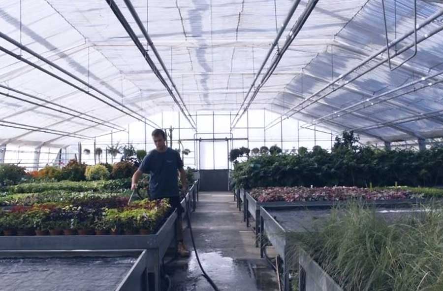 Horticulteur / Horticultrice CFC – production de plantes