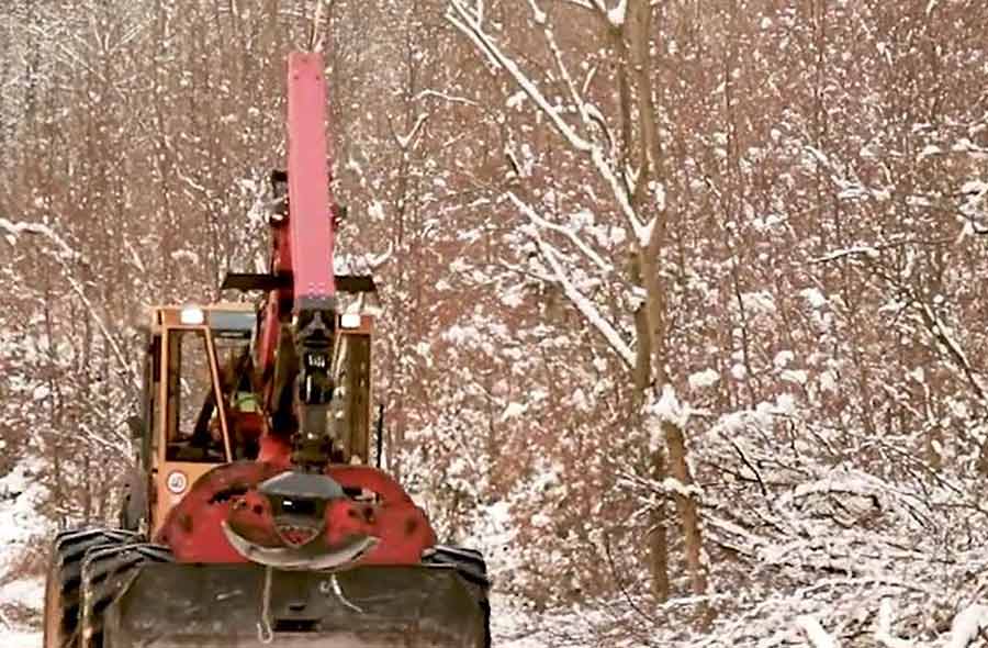 Conducente di macchine forestali APF