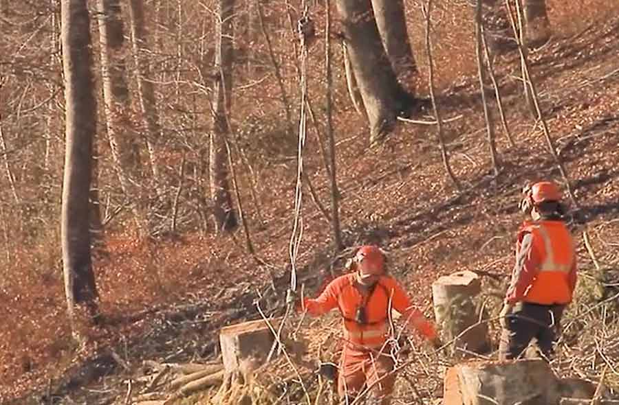 Responsabile per l'impiego della teleferica forestale APF