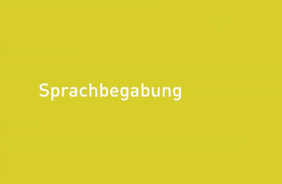 Berufliche Anforderungen: Sprachbegabung