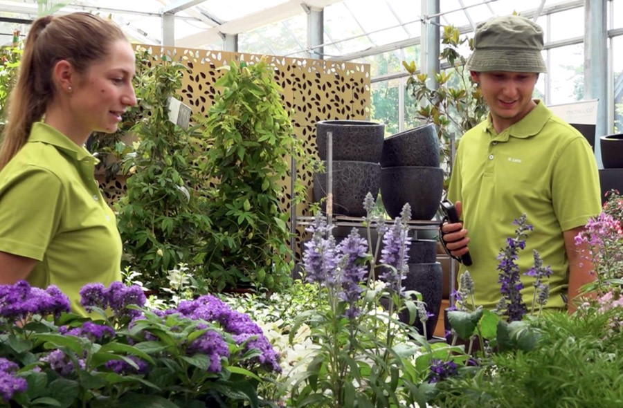 Horticulteur / Horticultrice CFC – production de plantes – Vidéo avec portrait d'un professionnel