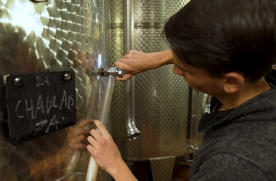 Viniculteur / Vinicultrice CFC
