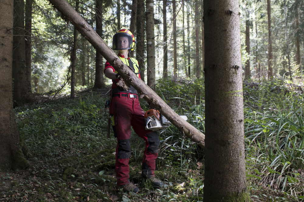 Holzschlag vorbereiten