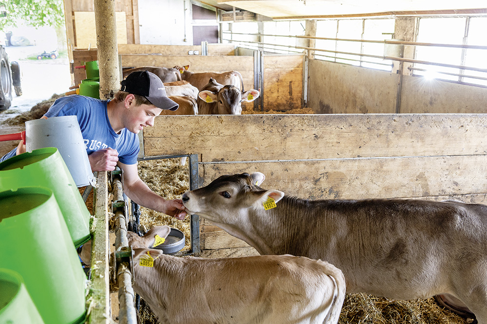 Tiere füttern und pflegen