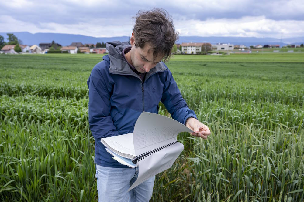 Biodiversität fördern