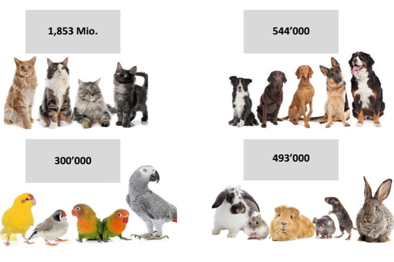 Die Anzahl Katzen, Hunde, Vögel und Nagetiere in Schweizer Haushalten im Jahre 2022.