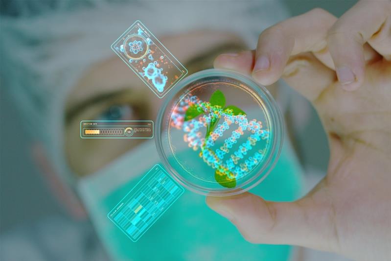 Life Sciences, Biotechnologie