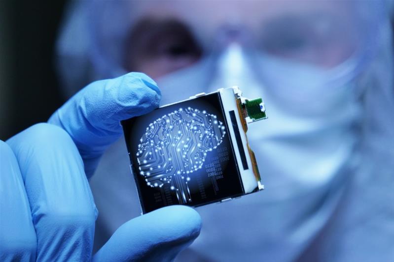 Neurowissenschaften