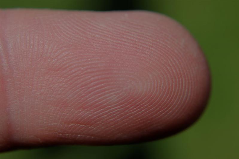 Symbolbild Fingerabdruck
